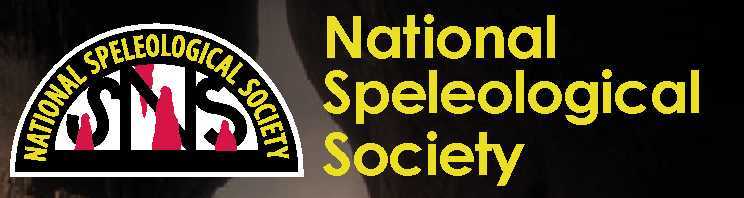 NSS Logo